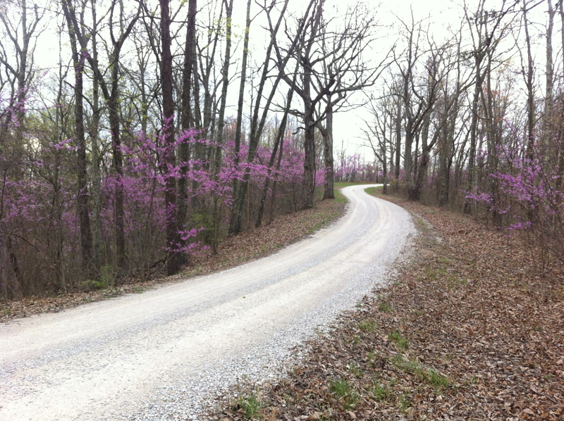 Lockegee Rock and Cave Run Lake